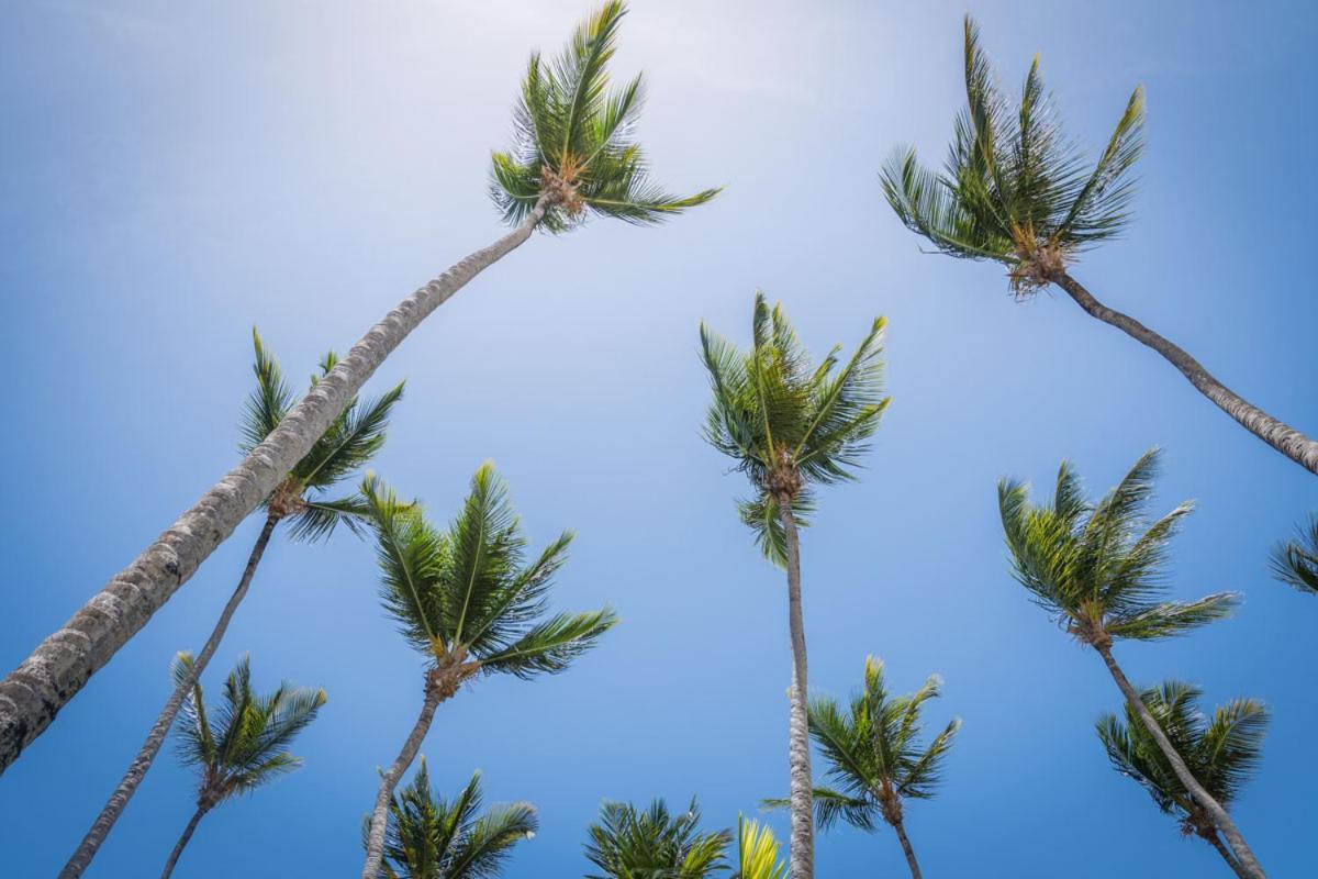 Don Cesar Aparthotel Las Terrenas Kültér fotó