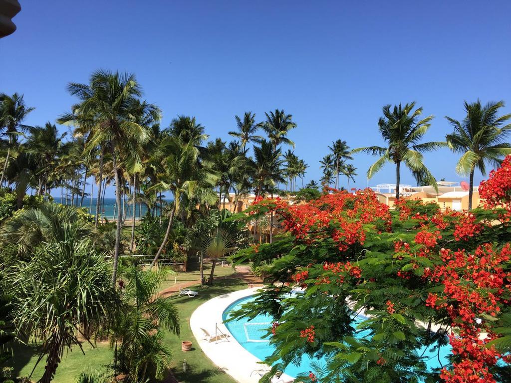 Don Cesar Aparthotel Las Terrenas Kültér fotó